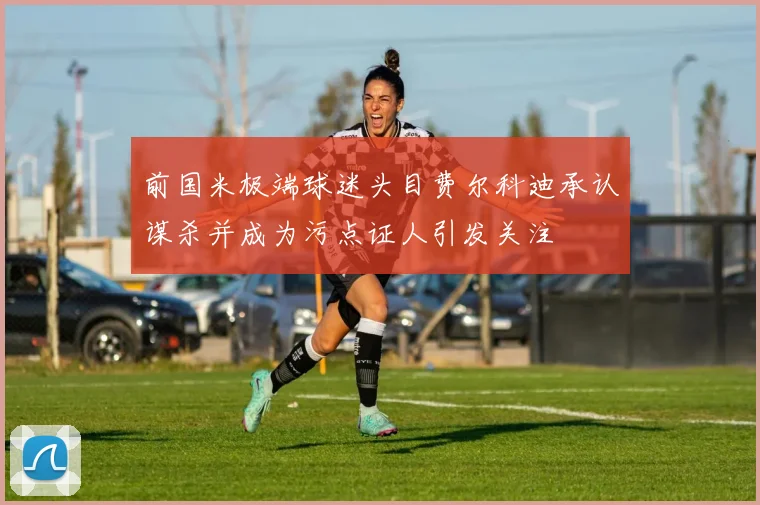 前国米极端球迷头目费尔科迪承认谋杀并成为污点证人引发关注